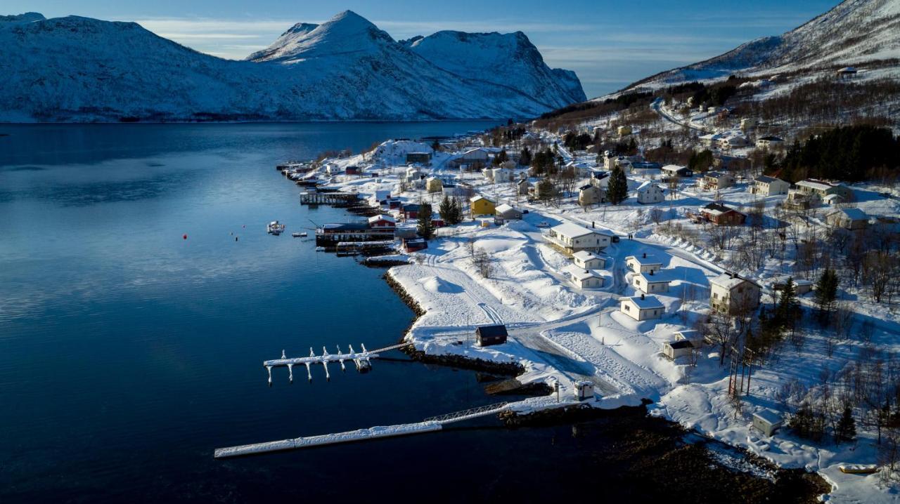 Senja Fjordcamp * Torsken