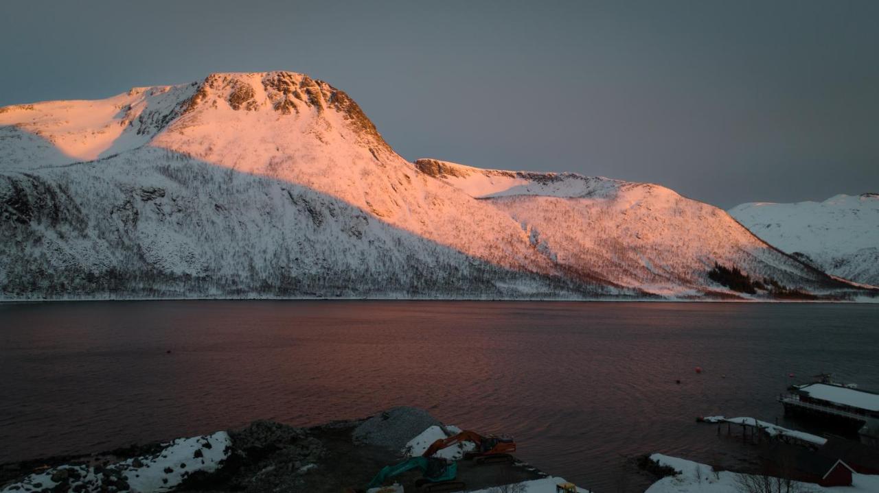 Senja Fjordcamp *